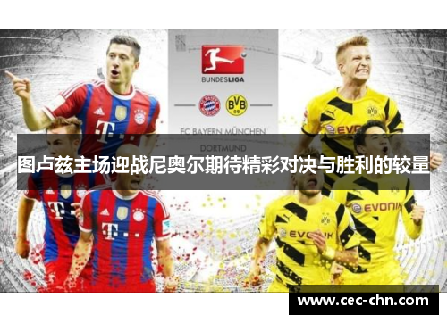 图卢兹主场迎战尼奥尔期待精彩对决与胜利的较量