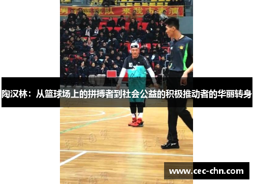 陶汉林：从篮球场上的拼搏者到社会公益的积极推动者的华丽转身
